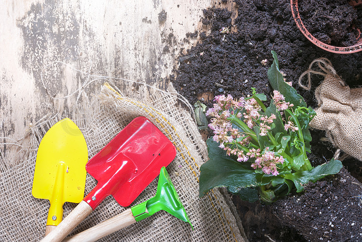 burlap sacks for gardening