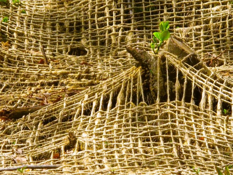 jute landscape netting