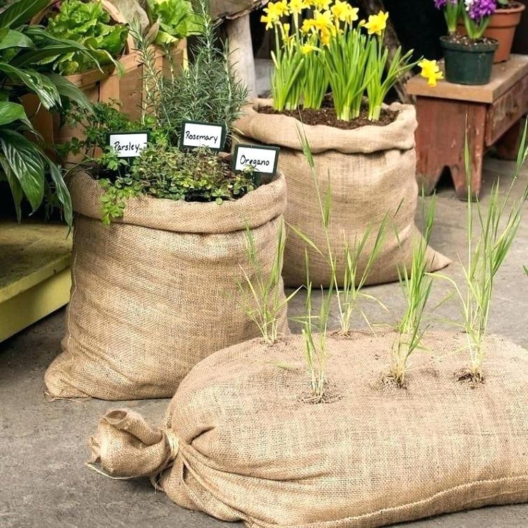 burlap bags for planting