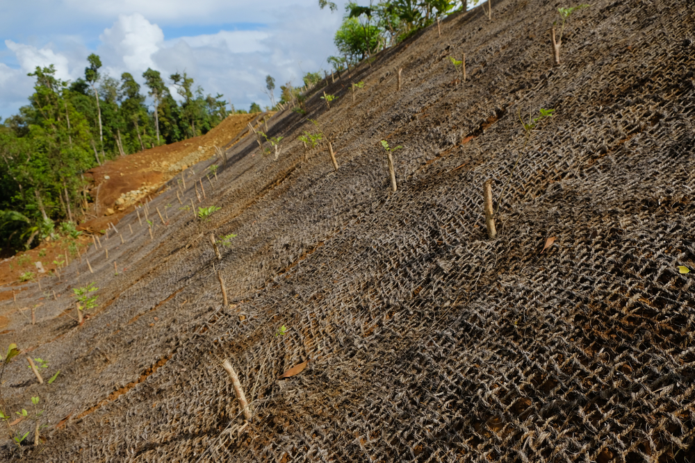 jute netting for erosion control