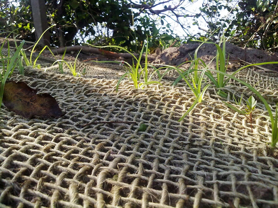 jute netting erosion control