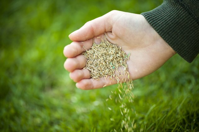 best size burlap for grass planting