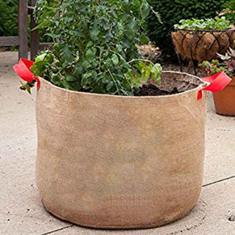 burlap bag for plants